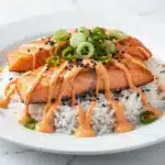 salmon rice bowl - featured image