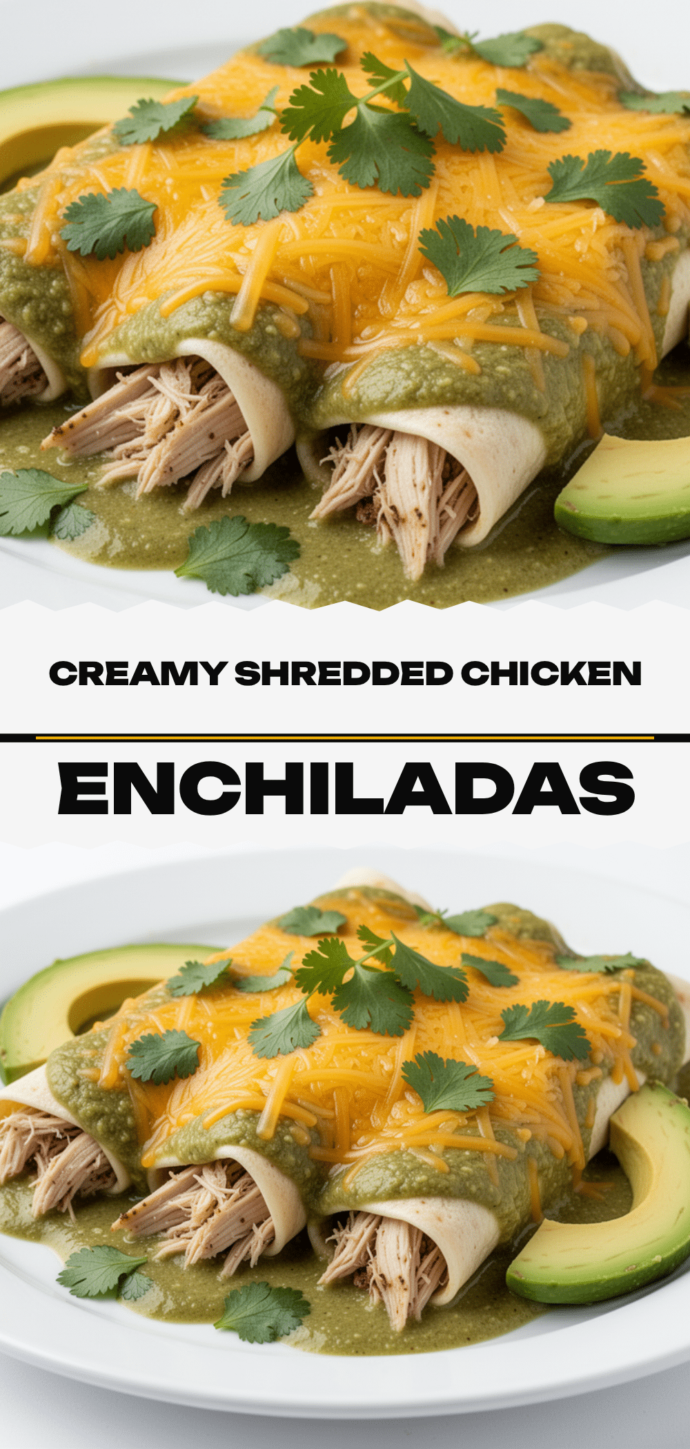 Shredded Chicken Enchiladas: 5-Ingredient Easy Dinner 5 shredded chicken enchiladas recipe