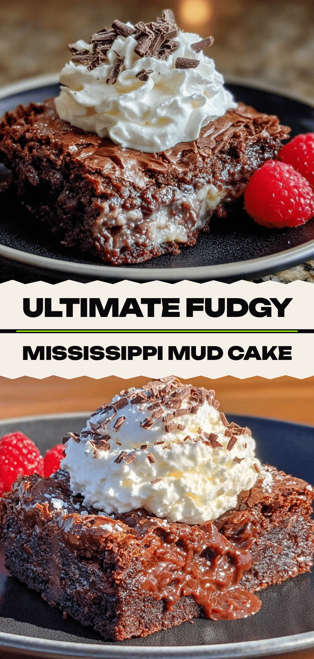 Fudgy Mississippi Mud Cake: Best Easy Dessert 5 fudgy Mississippi mud cake recipe
